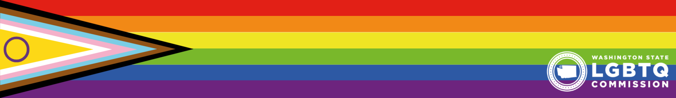 Intersex Progress Pride Flag 